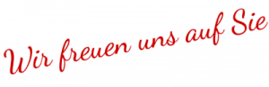Luna E-Scooter Reparatur / Werkstatt